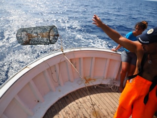 A person on a boat is throwing a wire trap into the ocean. Another person is watching nearby. The boat is on a body of water with visible waves and a distant horizon.
