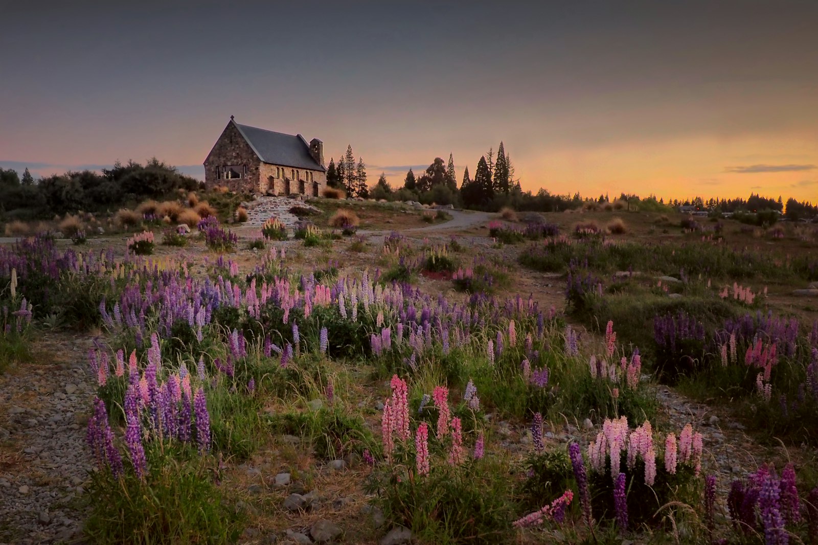 Olympus OM-D E-M1 + Panasonic Lumix G Vario 7-14mm F4 ASPH sample photo. Landscape photography of house photography