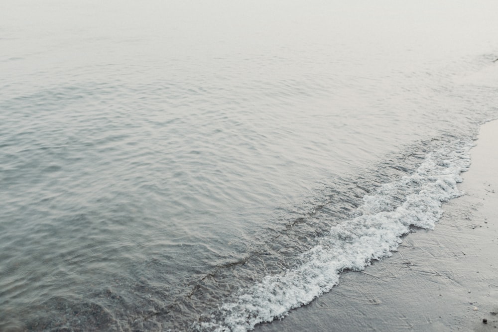 a couple of people walking along a beach next to the ocean