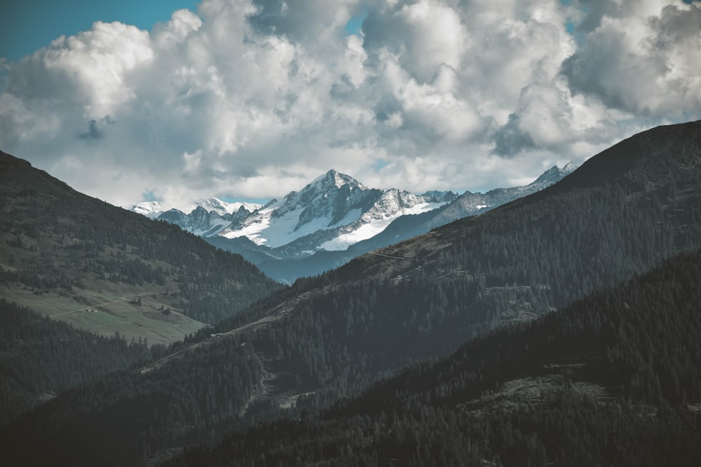 Foto da paisagem dos Alpes cercada por árvores