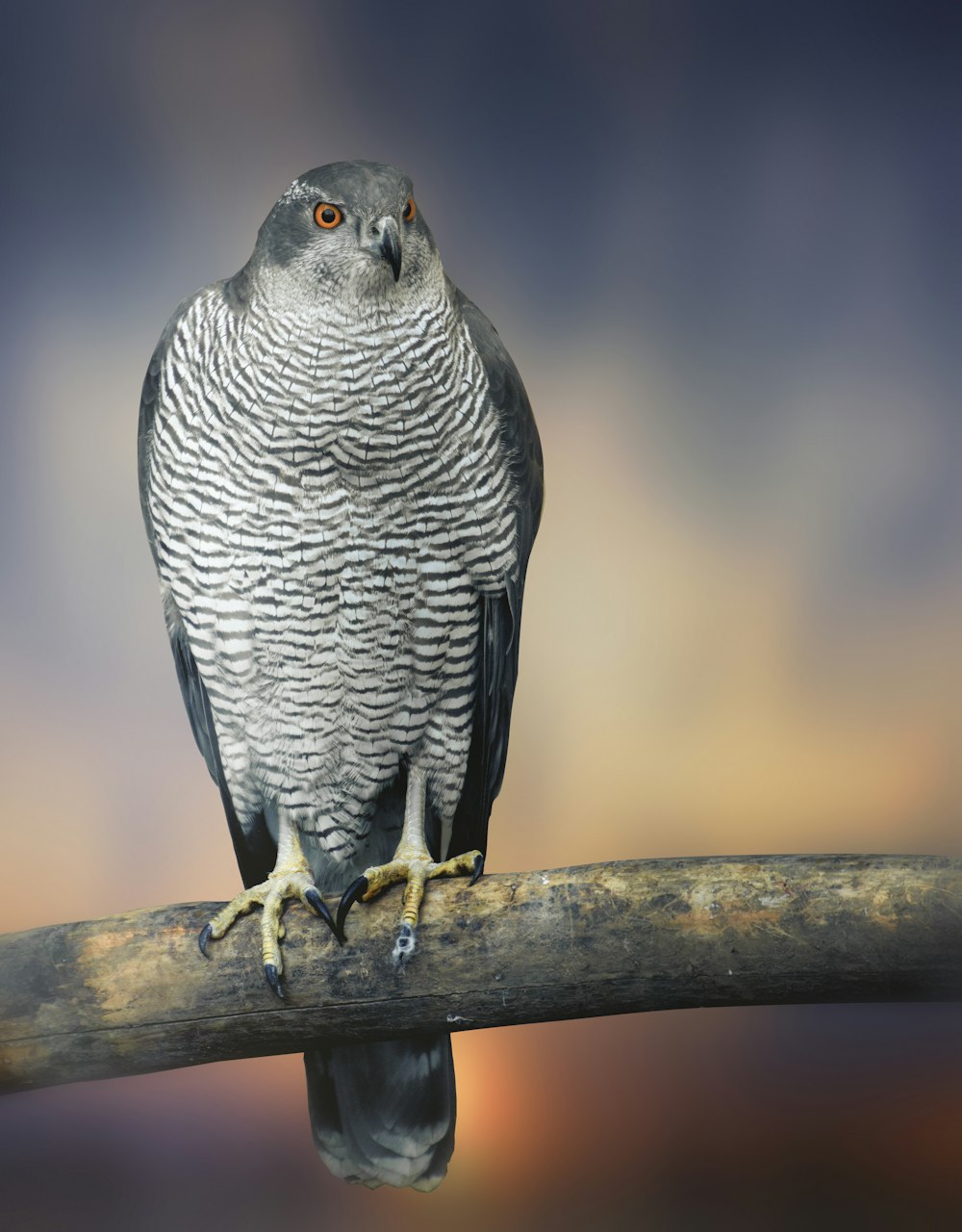 bird on tree branch