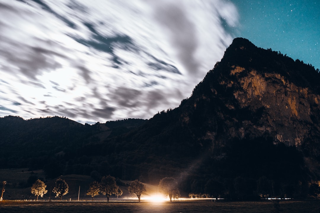 mountain near trees