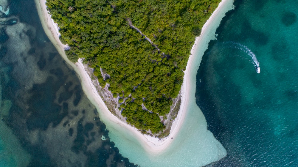 Fotografía de vista aérea de la isla durante el día
