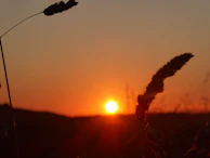 Sunset over a quiet field showing the natural beauty of the countryside plots.