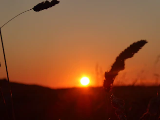 Sunset over a quiet field showing the natural beauty of the countryside plots.