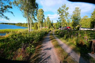A peaceful rural pathway lined with lush green trees and rustic houses in the background.