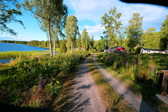 A peaceful rural pathway lined with lush green trees and rustic houses in the background.