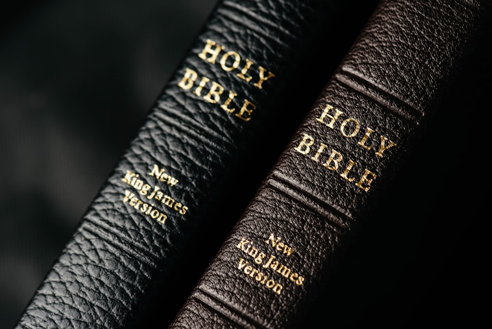zwei Heilige Bibeln