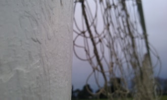 Close-up of a custom water polo goal with team colors and logo painted on the frame.