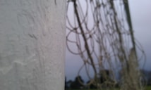 A close-up view of a white painted goalpost with a slightly defocused soccer net extending into the background. The sky is overcast, and the net appears to be made of rope, creating a sense of depth in the image.