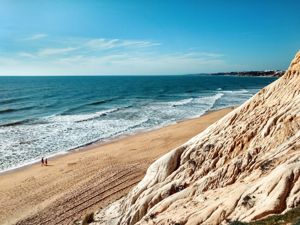 brown sand sea shore