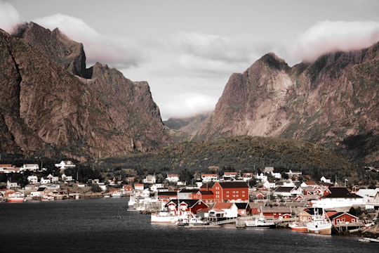 white and brown houses near ocean water and mountains covered with green leafed tress landscape photography in Reine Norway