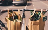 two brown paper bags on bicycle handle bar