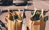two brown paper bags on bicycle handle bar