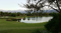 A serene golf course landscape featuring a calm lake surrounded by lush greenery and distant mountains. Trees provide shade in the foreground, while the course features well-manicured grass and sand bunkers. The overall scene is peaceful and well-maintained.
