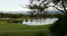 A serene golf course landscape featuring a calm lake surrounded by lush greenery and distant mountains. Trees provide shade in the foreground, while the course features well-manicured grass and sand bunkers. The overall scene is peaceful and well-maintained.