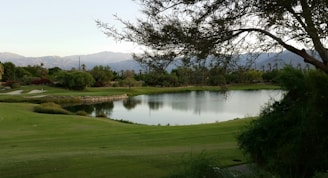 A serene golf course landscape featuring a calm lake surrounded by lush greenery and distant mountains. Trees provide shade in the foreground, while the course features well-manicured grass and sand bunkers. The overall scene is peaceful and well-maintained.