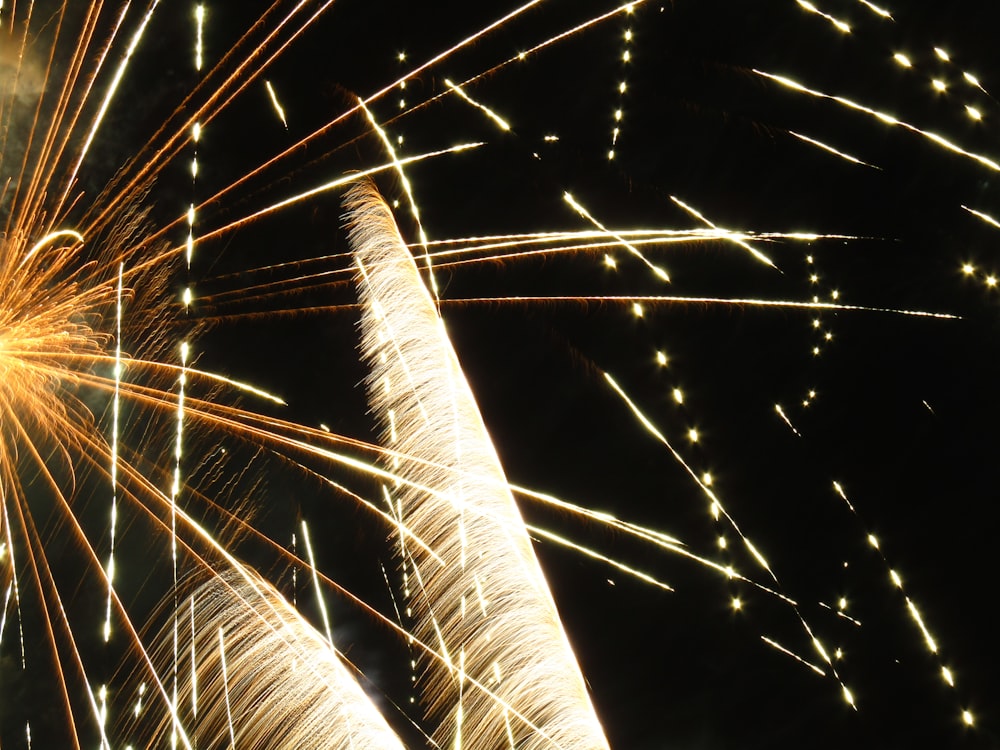 Bright fireworks and long leaves against a dark night sky