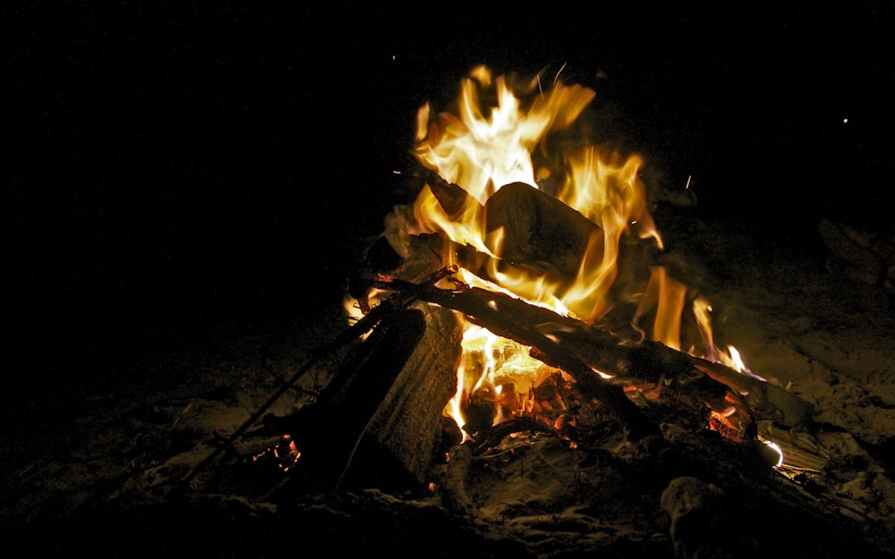 bonefire in the middle of sand