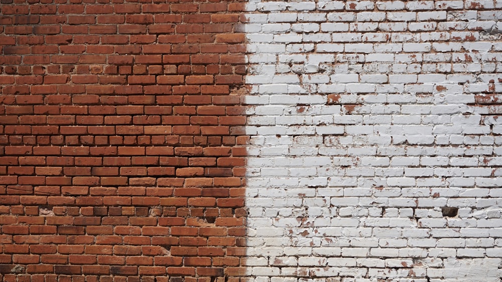 낮 동안 흰색과 갈색 벽돌 벽 사진