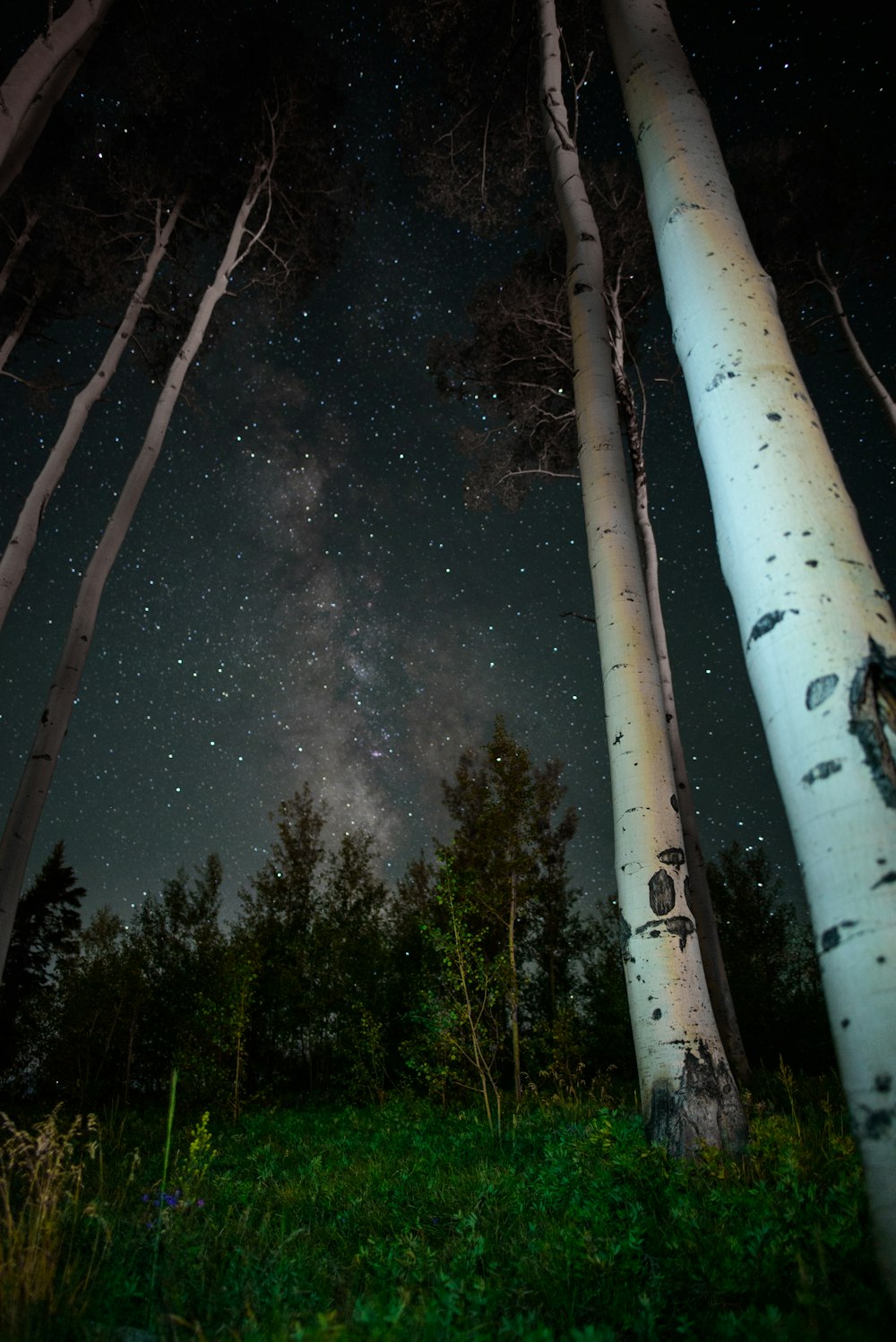 photo of milky way at night