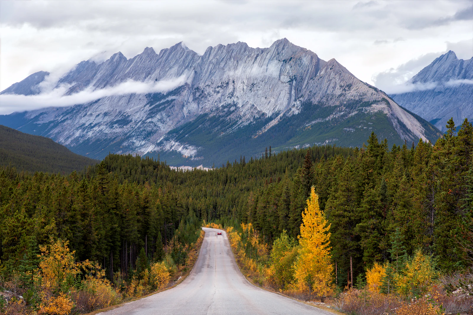 An empty highway running toward grey Canadian Rocky Mountains through evergreen forest and golden autumn trees