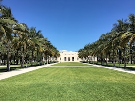 A symmetrical pathway lined with tall palm trees leads to a large building with a beige facade under a clear blue sky. The grass between the paths is neatly trimmed, and there are benches and trash cans along the walkway. The setting appears to be a formal or public park.