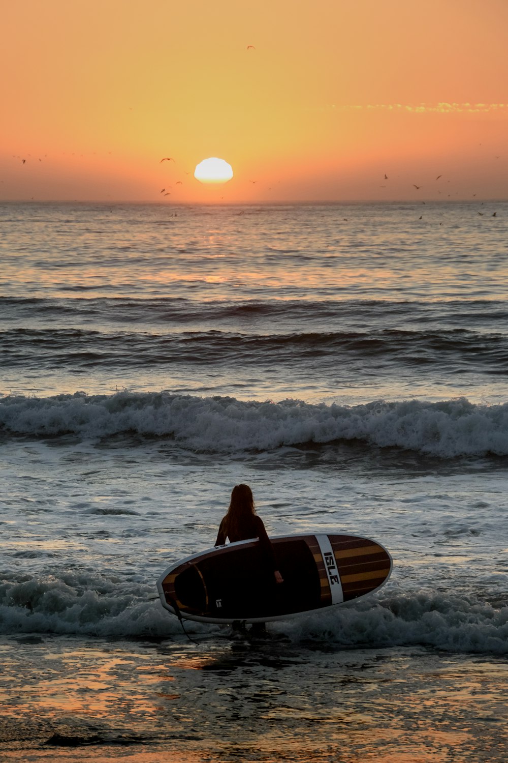 Persona che trasporta tavola da surf in riva al mare durante il tramonto