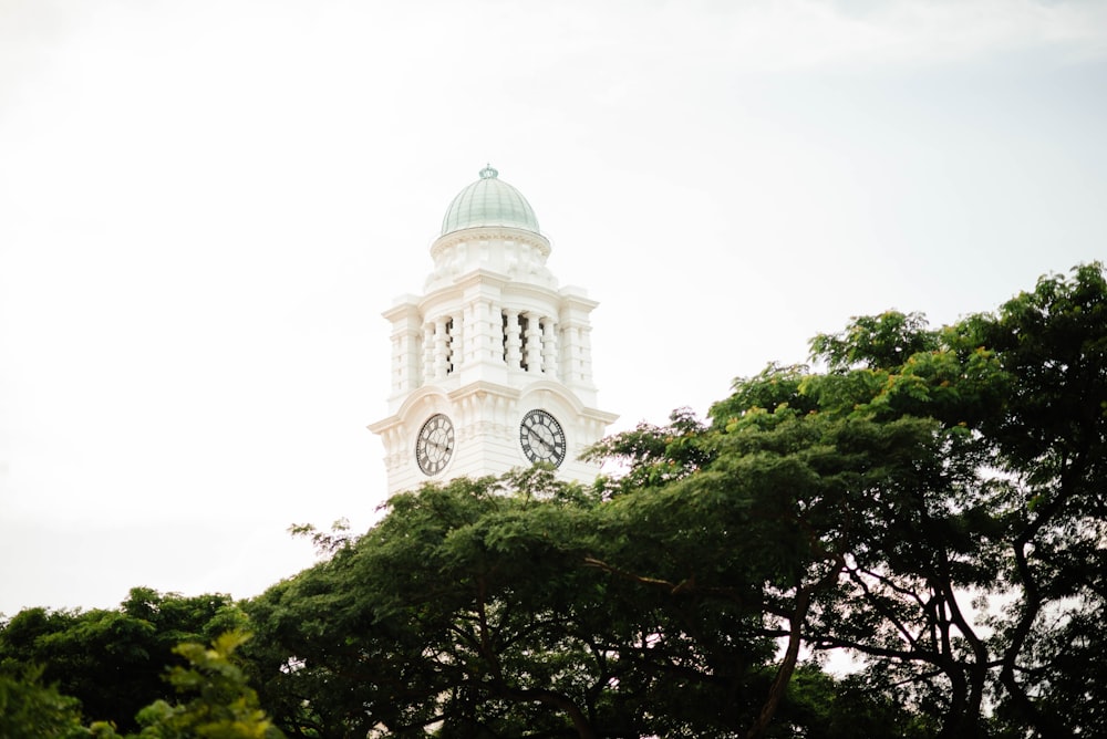 white concrete dome clock tower