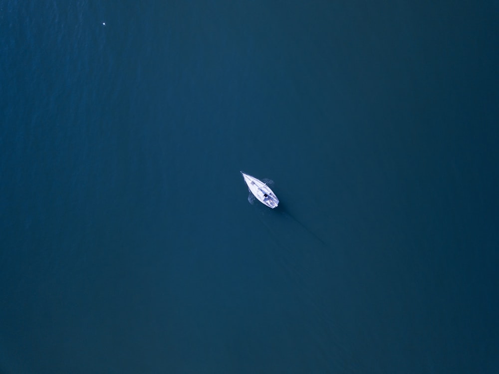 aerial photography of white boat on body of water