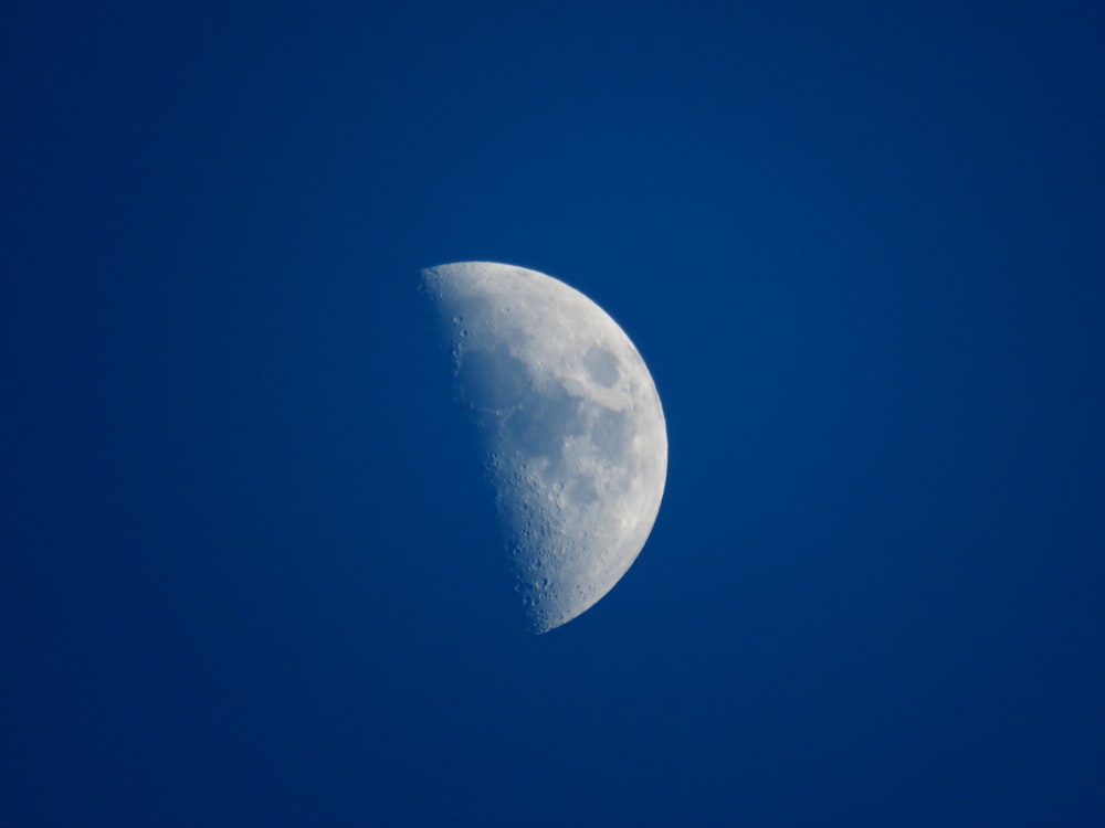 Luna piena