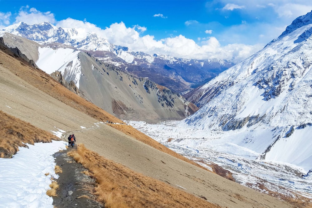 people walking on hill in distant of mountain alps