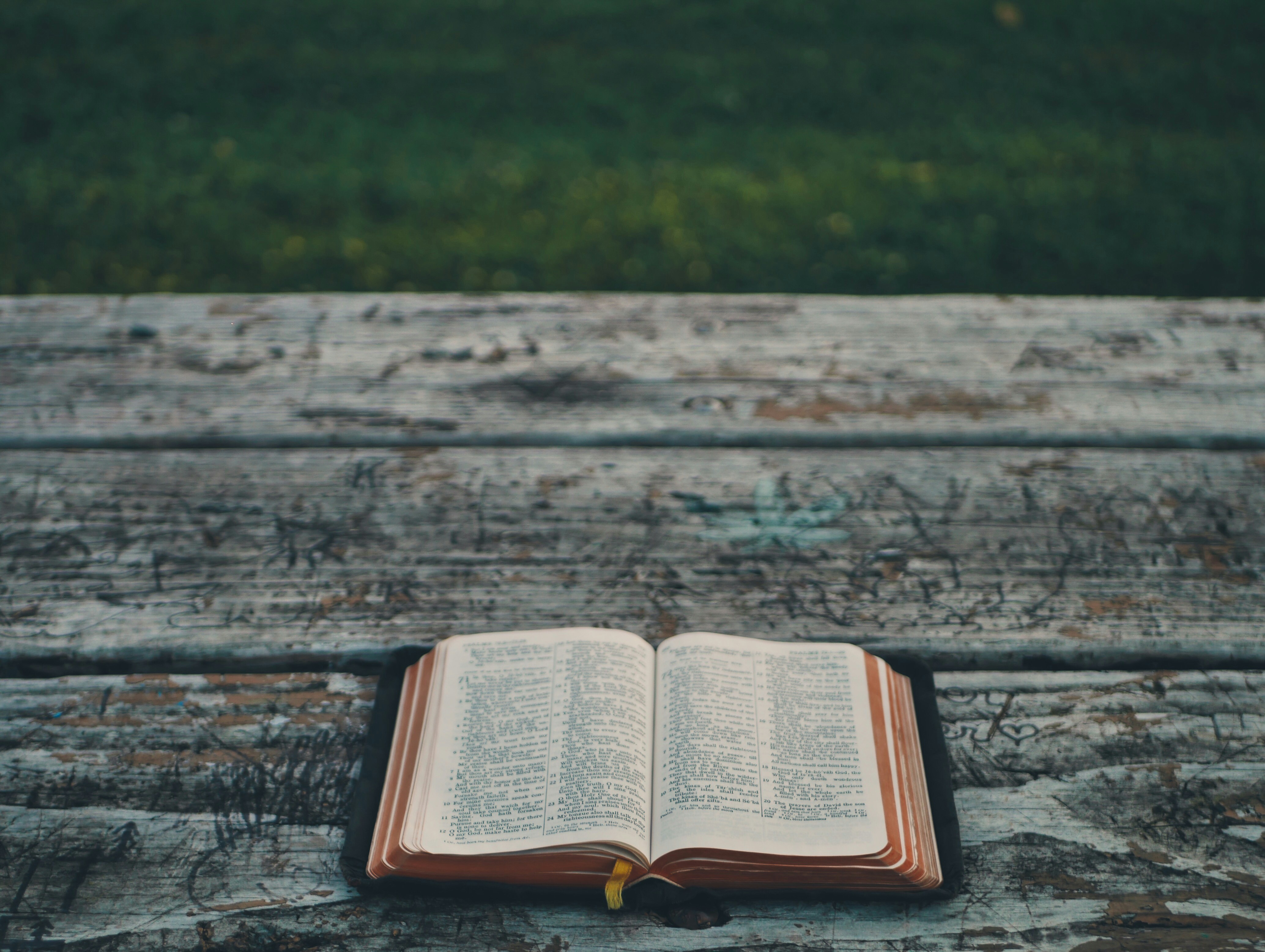 A Bible on the Shelf and a Faith Built on Sand: Confronting the Scripture Crisis in American Churches
