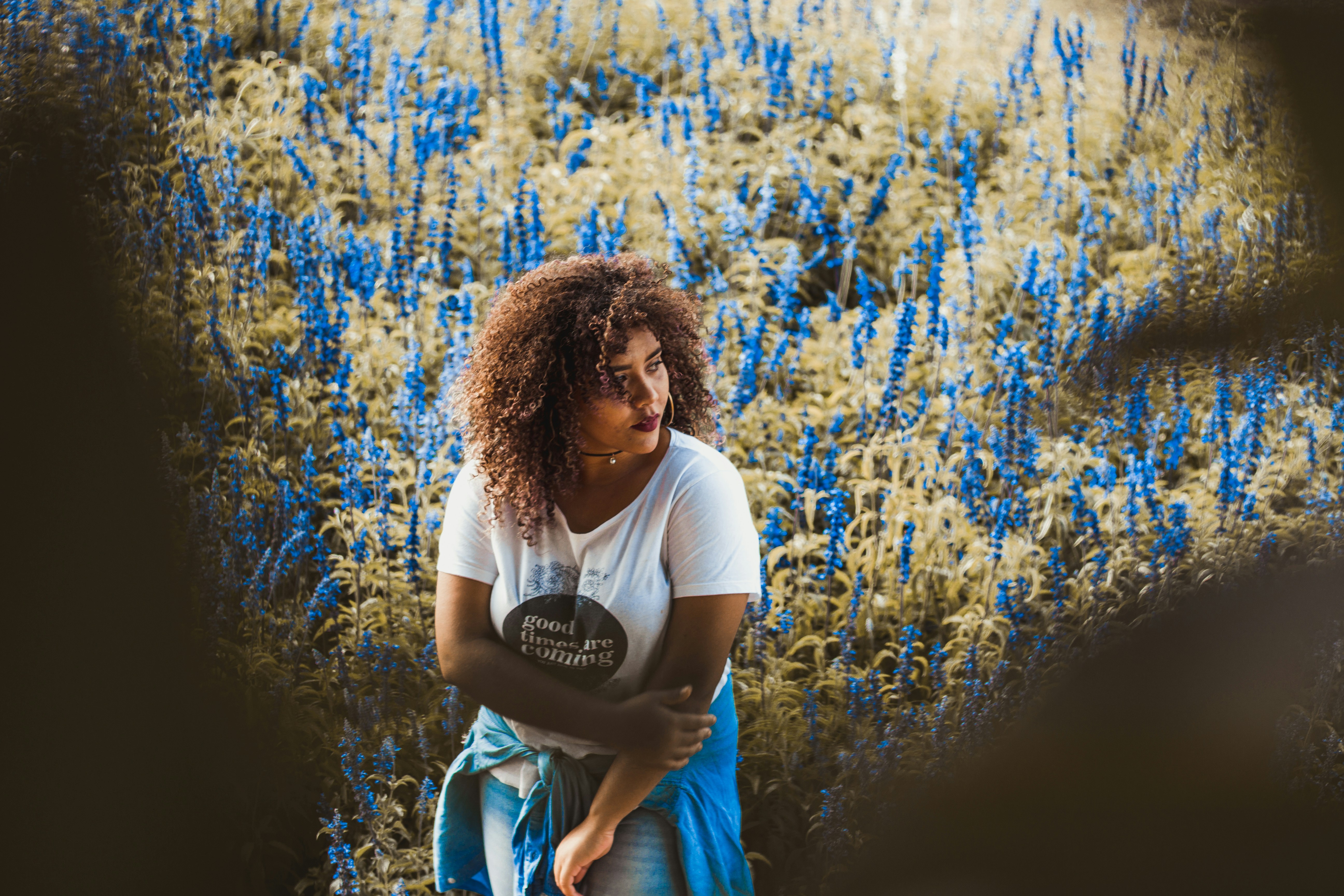 Butterflies | 3 best free butterfly, brazil, brasílium and portrait