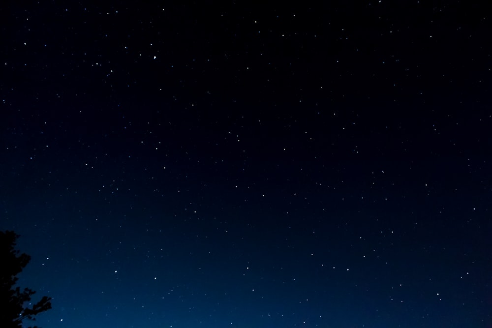 view of night stars
