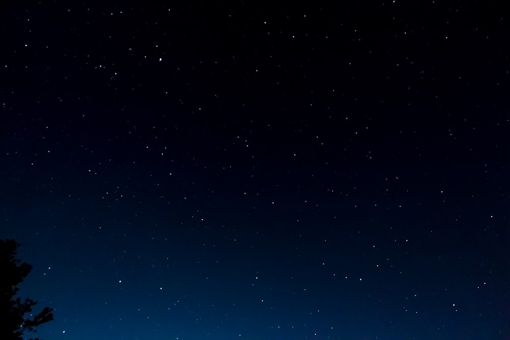 Vue des étoiles de la nuit