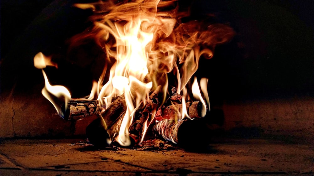 low angle photography of burning wood