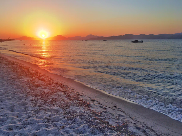 A warm sunset view of Puri Beach with gentle waves and scattered seashells on the sand.