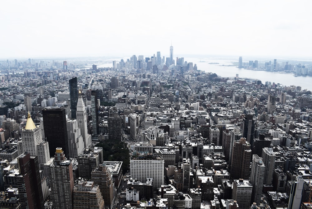 bird's eye view photo of city landscape