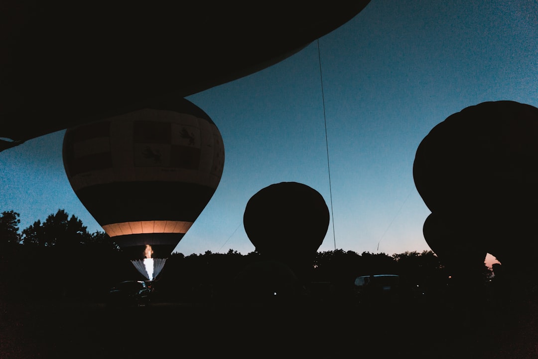 silhouette of hot air balloons at open field