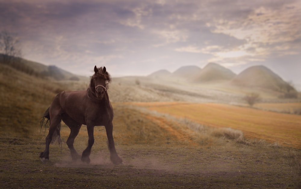 brown horse on brown ground with mountain background
