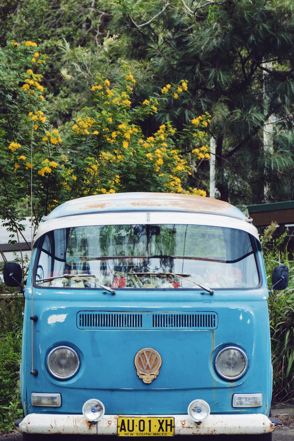 blue Volkswagen T3 in front of trees