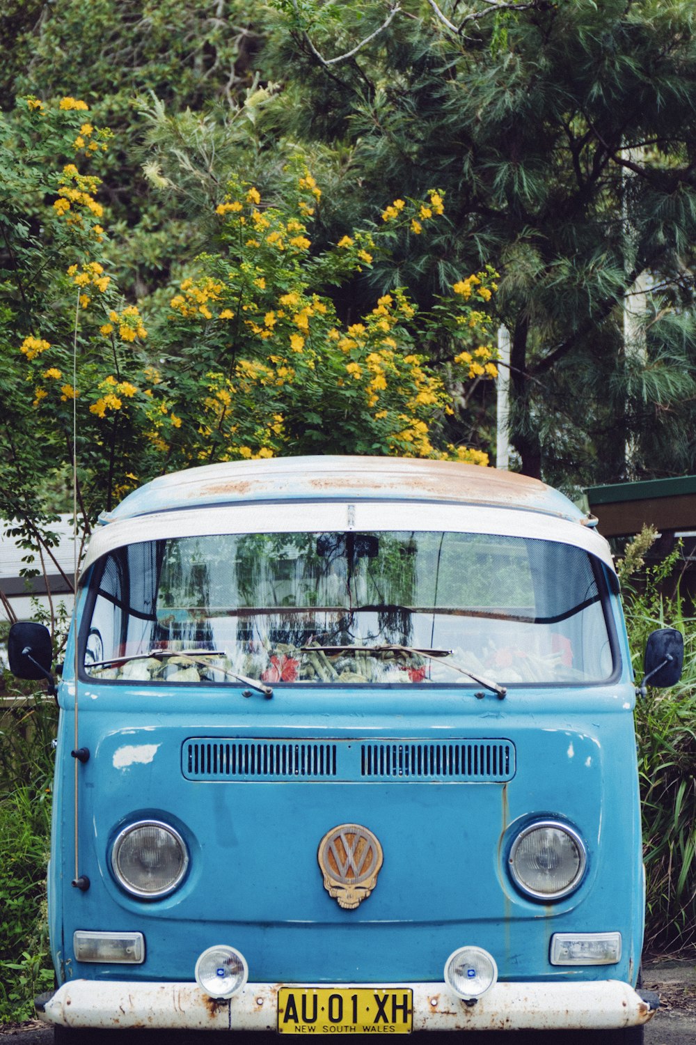 Volkswagen T3 bleu devant les arbres