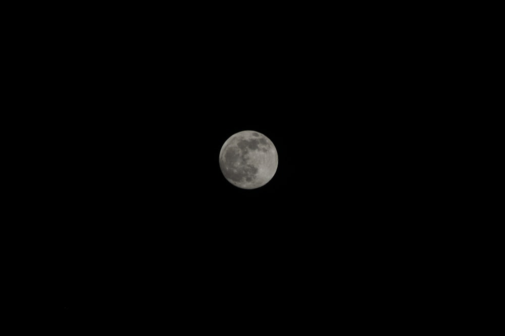 full moon at nighttime
