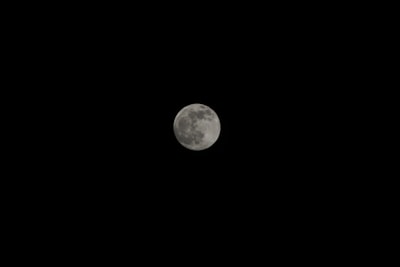 full moon at nighttime venezuela google meet background