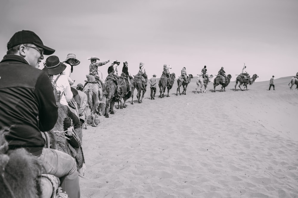 grayscale photo of group of person riding on camels