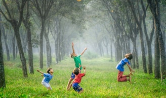 four boy playing ball on green grass