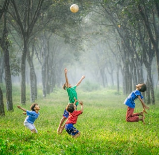 four boy playing ball on green grass