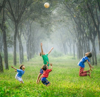 four boy playing ball on green grass