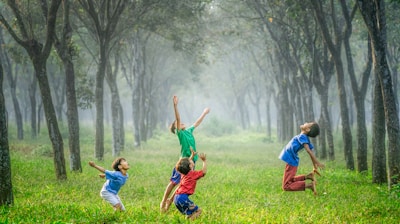 four boy playing ball on green grass